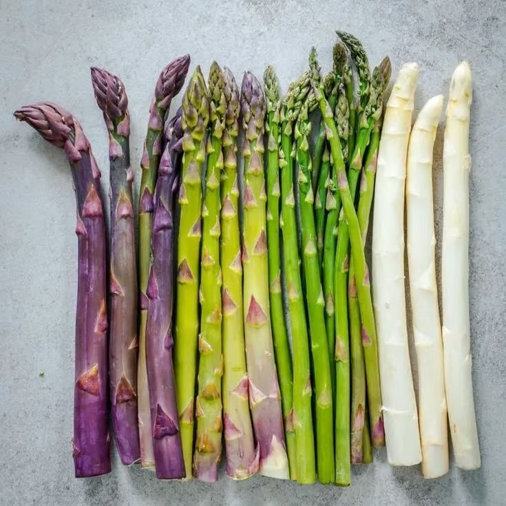 Grow Fresh Organic Asparagus at Home 🌱