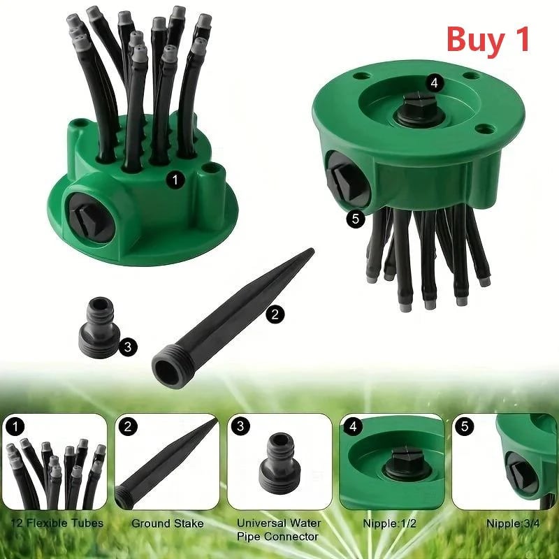 Buy 1
