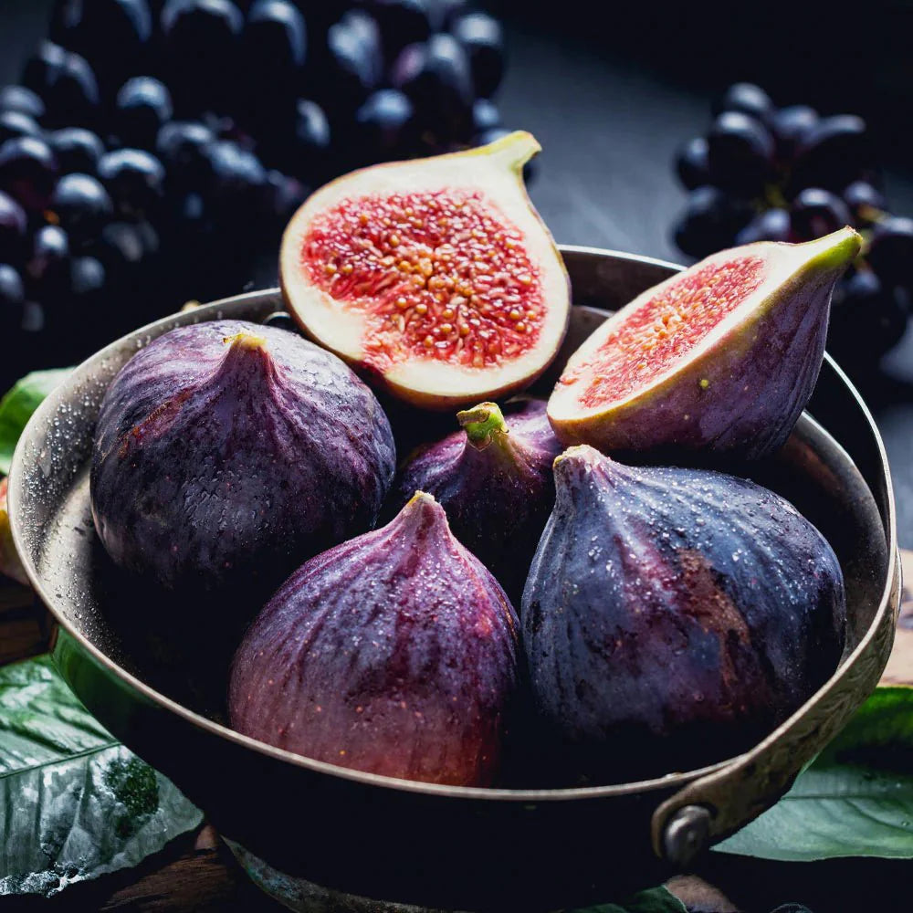 🌱 Harvest Sweet Figs in Your Own Backyard: Fast-Growing & Hardy Variety | Premium Nursery Grade Selection ✨
