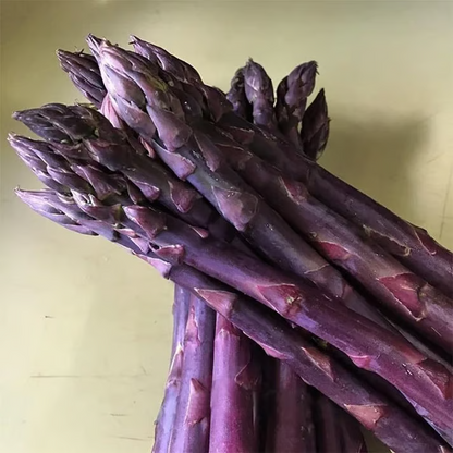 Grow Fresh Organic Asparagus at Home 🌱